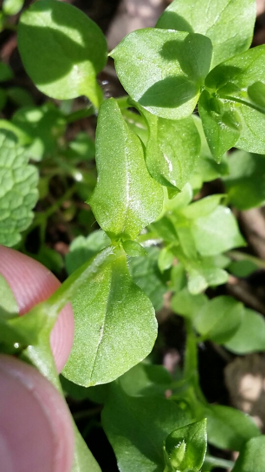 wpid-2014-04-21-16.47.13.jpg.jpeg image