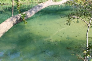 20170908042000_IMG_0508