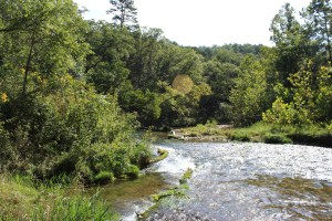 20170908224720_IMG_0538